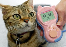 圖文 貓語(yǔ) 便攜電子翻譯器日本東京問(wèn)世